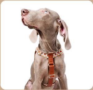 Venta al por mayor precio de fábrica de lujo personalizado suministros para mascotas de nylon duradero <span class=keywords><strong>collar</strong></span> de perro arnés Correa conjunto para perros grandes - Product Image 2