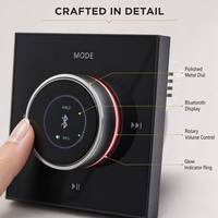 Tianlai Audio 20Hz-20Khz Yüksek Güçlü Amplifikatör Akıllı Ev Cihazları