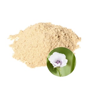 Extrato De Raiz De <span class=keywords><strong>Marshmallow</strong></span> Extrato De <span class=keywords><strong>Marshmallow</strong></span> 10:1 20:1 Marsh Mallow Extrato De <span class=keywords><strong>Marshmallow</strong></span> Em Pó - Product Image 3