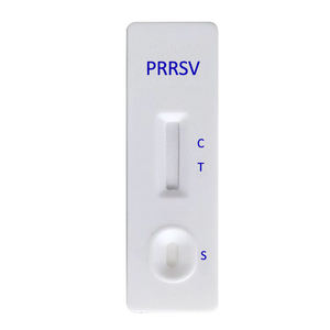 Le test d'anticorps de virus du syndrome reproducteur et respiratoire porcin ODM OEM PRRSV est utilisé dans les diagnostics vétérinaires - Product Image 3