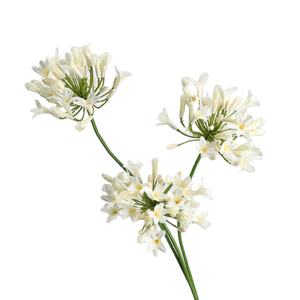 Factory Direct <strong>Sale</strong> Artificial Flowers <strong>African</strong> <strong>Violet</strong> European Floral Design Wedding Photography Decoration Materials Injection - Product Image 6