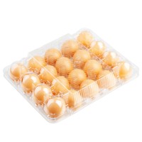 Barquettes d'emballage pour œufs en plastique transparent jetables à prix abordable, haute qualité, tailles de trous 6/10/12/20/30/30L