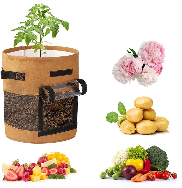 Buy Wholesale China 10 Gallon Potato Plant Grow Bag Vegetable Fruit Planter  Bag Breathable Nonwoven Fabric Grow Bags With Flap And Handles & Plant Grow  Bags at USD 1.07