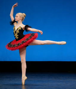 Gaun Tari Balet Suspender Rok Balerina Tiga Lapis Tulle Kostum Bordir untuk Pertunjukan Tari di Panggung untuk Anak-anak - Product Image 6