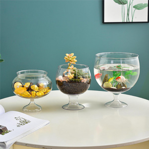 Maceta de Plástico Transparente Mediana Rong An para Flores y Plantas - Product Image 5