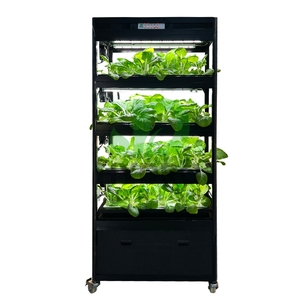 Tour hydroponique verticale à 4 couches LED pour le <span class=keywords><strong>contrôle</strong></span> de la climatisation intérieure Système de culture domestique Armoire hydroponique pour épices et légumes - Product Image 1