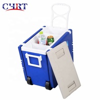 CHRT Personnalisé Lastic Camping Glacière En Plein Air Gâteau Déjeuner Peut Jus Coke Pique-Nique Camping Voiture Table Glacière Avec Roues