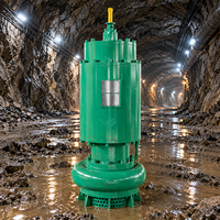 Pompe à boue submersible à grand débit résistante à la corrosion avec agitateur immergé pour le drainage des fosses et les fosses de sédimentation