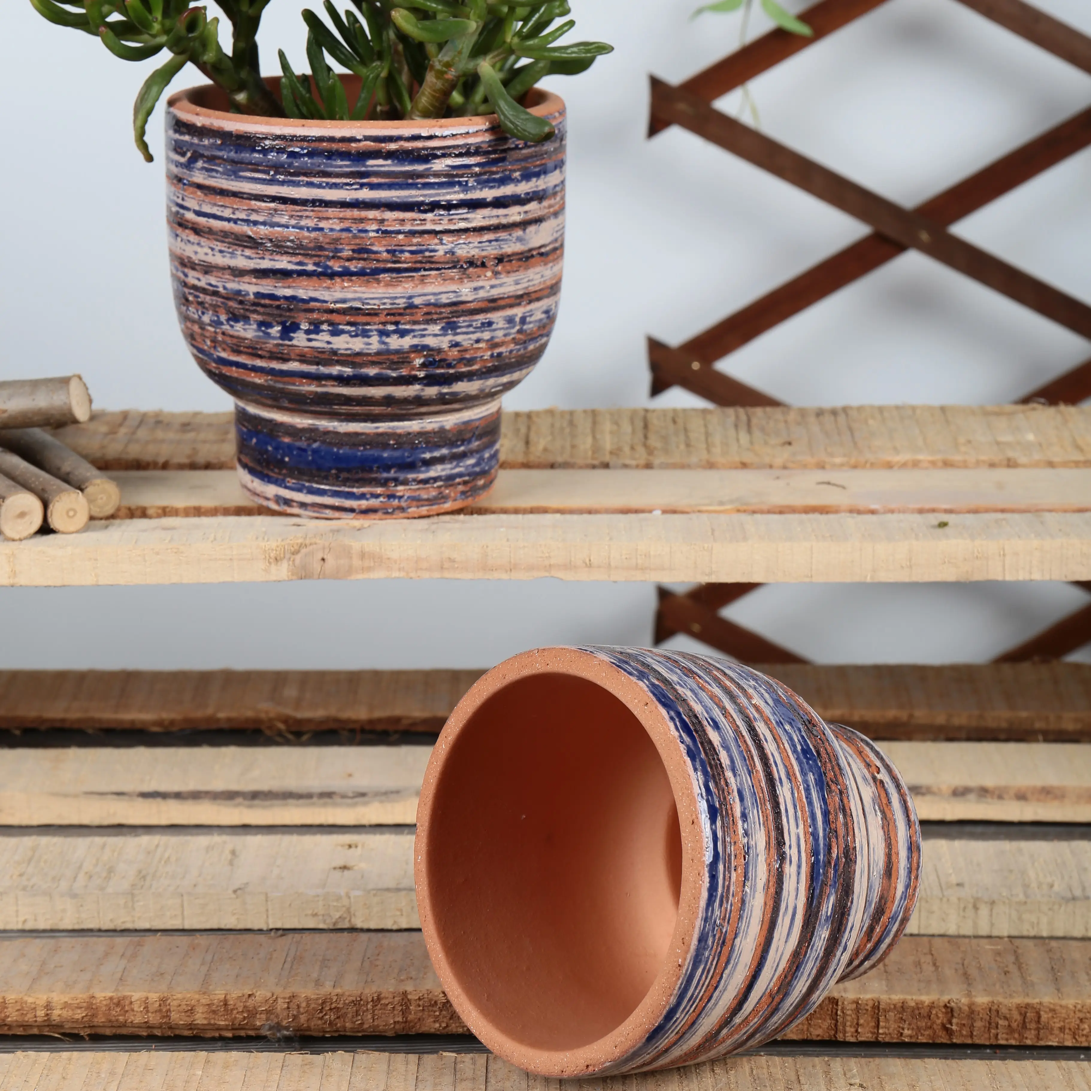 水平線丸いカラフルなホームテーブルの装飾斑点のある植木鉢
