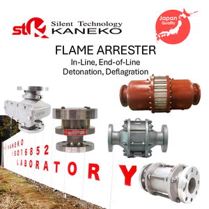 Válvulas de seguridad industriales de acero inoxidable de alta presión con supresor de llama serie FR OEM - Product Image 2