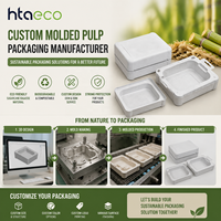Boîte en fibre moulée sur mesure, emballage durable en fibre de canne à sucre, plateau OEM, insert moulé pour l'électronique grand public haut de gamme