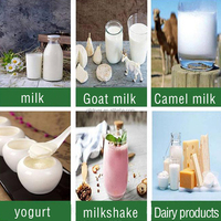 Pasteurisateur de lait commercial 500L à bas prix