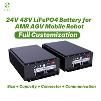 Paket Baterai Lithium Kustom untuk Robot AMR Sistem Baterai 24V 48V Baterai Daya LiFePO4 untuk Otomatisasi Gudang AGV