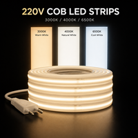Bande LED COB étanche IP67 220V, 288 LED, haute luminosité, flexible, sans driver, pour décoration extérieure, jardin, signalétique