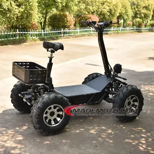 ATV listrik anak 1600W, 4X4 listrik 4 roda 8000W untuk bersenang-senang dan petualangan