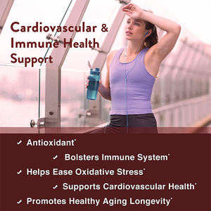 Meilleur supplément de quercétine de zinc pour hommes et femmes Améliorer l'immunité Capsules de quercétine de zinc - Product Image 4