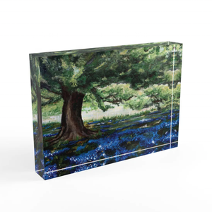 Uv in 4x6 tùy chỉnh Acrylic Logo nghệ thuật hiển thị hình ảnh khối khối trống - Product Image 2