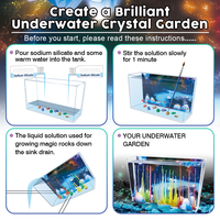 Fabricant de kits d'apprentissage ODM/OEM BIG BANG SCIENCE |   Kit éducatif de cristaux magiques, kit d'expérimentation sur le silicate de sodium pour les étudiants