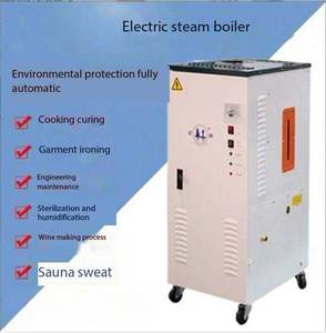 Generador de Vapor <span class=keywords><strong>Vertical</strong></span> Eléctrico 2026, Último Modelo, con Presión Ajustable, para Plantas de Mantenimiento, Mini, de Goma - Product Image 6