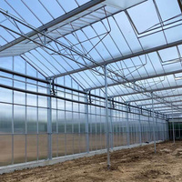 Panel de Vidrio Templado de 4mm y 6mm con Certificación CE para Invernadero, Venta al Por Mayor