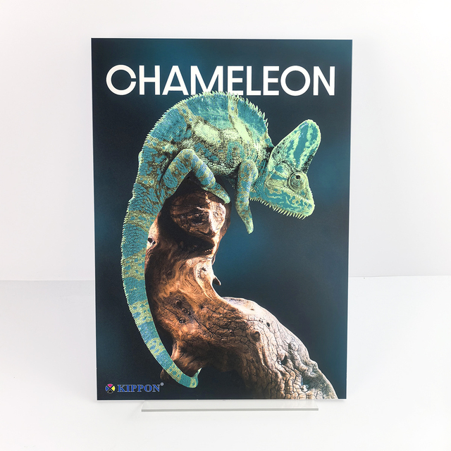 Custom 3D Relief Art Prints Gallery Collectibles Chameleon Lenticular Effect Visual Exhibition Advertising Poster Board Displays