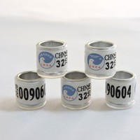 Bagues de patte de pigeon 2026, couleurs arc-en-ciel, anneaux d'identification en plastique durable pour pigeons de course et de voyage