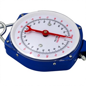 Balance à ressort <span class=keywords><strong>mécanique</strong></span> analogique à suspension pour pesage de 200 kg, vente chaude - Product Image 6