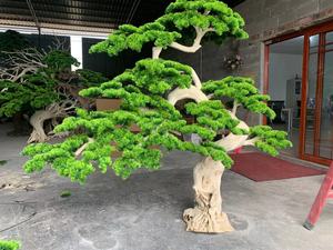Árbol de <span class=keywords><strong>Pino</strong></span> Artificial Grande para Interiores, Hecho a Mano con Tronco de Madera, Bonsái Artificial para Decoración de Paisajismo del Hogar - Product Image 5