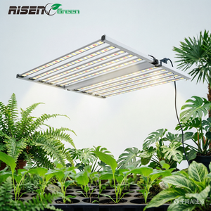 Lámpara LED <span class=keywords><strong>de</strong></span> <span class=keywords><strong>Cultivo</strong></span> <span class=keywords><strong>de</strong></span> Espectro Completo <span class=keywords><strong>de</strong></span> Grado Industrial, <span class=keywords><strong>de</strong></span> Aluminio, Alto Rendimiento, <span class=keywords><strong>para</strong></span> <span class=keywords><strong>Cultivo</strong></span> Hidropónico <span class=keywords><strong>de</strong></span> <span class=keywords><strong>Plantas</strong></span> en Interiores - Product Image 6