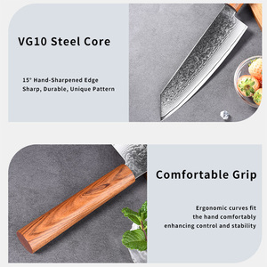 Sang Trọng Nhật Bản Bất Damascus Giả Mạo Dao Nhà Bếp Thép Không Gỉ Vg10 Damascus Core Phi Bloodwood Xử Lý - Product Image 5