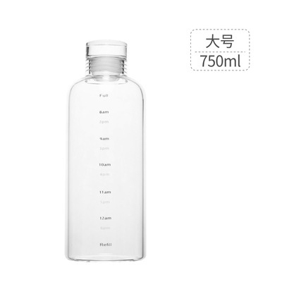 Modèle de temps transparent 750ml