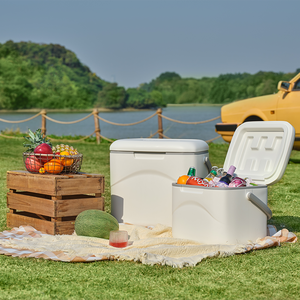 Icemaster - Nevera Portátil Aislada de Alta Resistencia con Cubierta Rígida, 5l, 7l, 45l, 38l, 50l, 70l, para Alimentos - Product Image 2