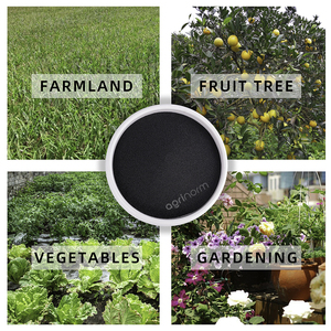 Bán buôn Phân bón hữu cơ axit humic để tăng chất hữu cơ đất, thúc đẩy rễ, cải thiện sức đề kháng căng thẳng - Product Image 5