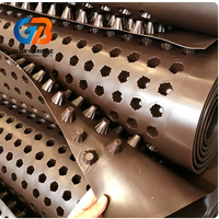 Planche de drainage rainurée en HDPE marron - un produit géotechnique en plastique, utilisé pour le drainage et le stockage de l'eau, avec épaisseur personnalisable