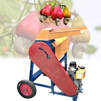Machine de séparation et de traitement des noix de cajou