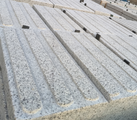 Granit blanc martelé, design moderne, léger, durable, écologique, pour applications de comptoirs et de sols d'hôtels