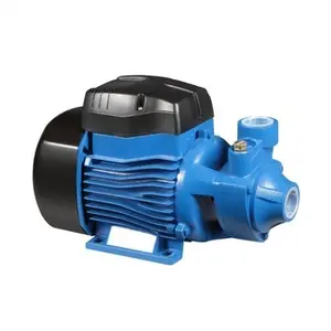 Trung Quốc 0.5HP hộ gia đình ứng dụng điện Micro xoáy nước động cơ mini ngoại vi Máy bơm ly tâm