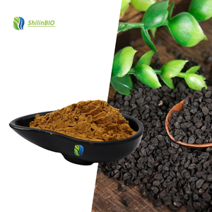 Extracto <span class=keywords><strong>de</strong></span> Semilla <span class=keywords><strong>de</strong></span> Cebolleta <span class=keywords><strong>de</strong></span> Alta Calidad 10:1 20:1, Extracto <span class=keywords><strong>de</strong></span> Semilla <span class=keywords><strong>de</strong></span> Cebolla en Polvo - Product Image 2