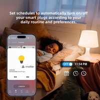 Bilihondim Matter Over Thread EU Mini Plug Dimmer 1Channel 200W Contrôleur de gradation sans fil compatible Google Assistant