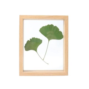 Beechwood Photo <b>Frame</b> 16 Inch A4 10 Inch 8 Inch 7 Inch 6 Inch Square Wooden <b>Frame</b> For <b>Plant</b> Specimen DIY Display Tabletop - Product Image 4