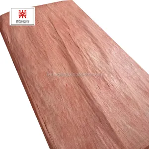 Bintangor Veneer wood face veneer for plywood
