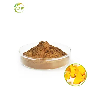 Competitive Price Ginkgo Biloba Leaf Extract Flavones 24% Lactones 6% without Ginkgolic Acid