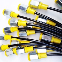 Point tubulaire de tuyau d'essai hydraulique de machines de construction d'excavatrice 3 m / 9 pieds