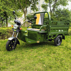 Tuk-tuk électrique, vélo électrique à 3 <span class=keywords><strong>roues</strong></span>, tricycle passager, <span class=keywords><strong>moto</strong></span> cargo pour adultes, pour la ferme - Product Image 6