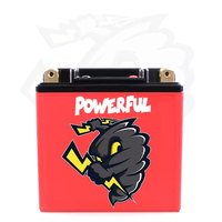 Baterai Motor Yauneidak Custom 12.8V 8AH 420CCA Lithium Ion LiFePO4 High Rate Pouch Cell dengan Garansi 2 Tahun 3000 Siklus