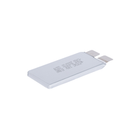 Batterie semi-solide au lithium cobalt oxyde 3,6 V 31000 mAh 3C 361 g -40°C basse température, modèle 9587187 pour l'électronique grand public