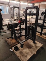 Équipement de fitness professionnel à double fonction pour l'entraînement de force (curls biceps/extensions triceps) – Vente chaude directe usine