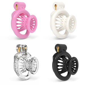 Lồng trinh tiết nam 2025 mới, 4 màu, khóa dương vật, kiểm soát abstinence, khóa dương vật kiểu sissy với 4 vòng cỡ khác nhau, sản phẩm dành cho người lớn - Product Image 1