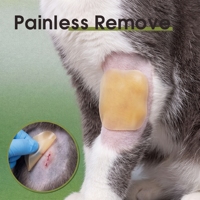 Pansement auto-adhésif stérile en hydrogel transparent avec pression aux extrémités invisible pour chats