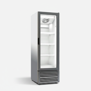 Refrigerador vertical comercial de una puerta de vidrio para bebidas, 265 L - Product Image 2